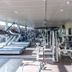 Palestra